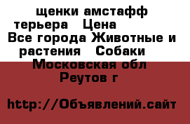 щенки амстафф терьера › Цена ­ 30 000 - Все города Животные и растения » Собаки   . Московская обл.,Реутов г.